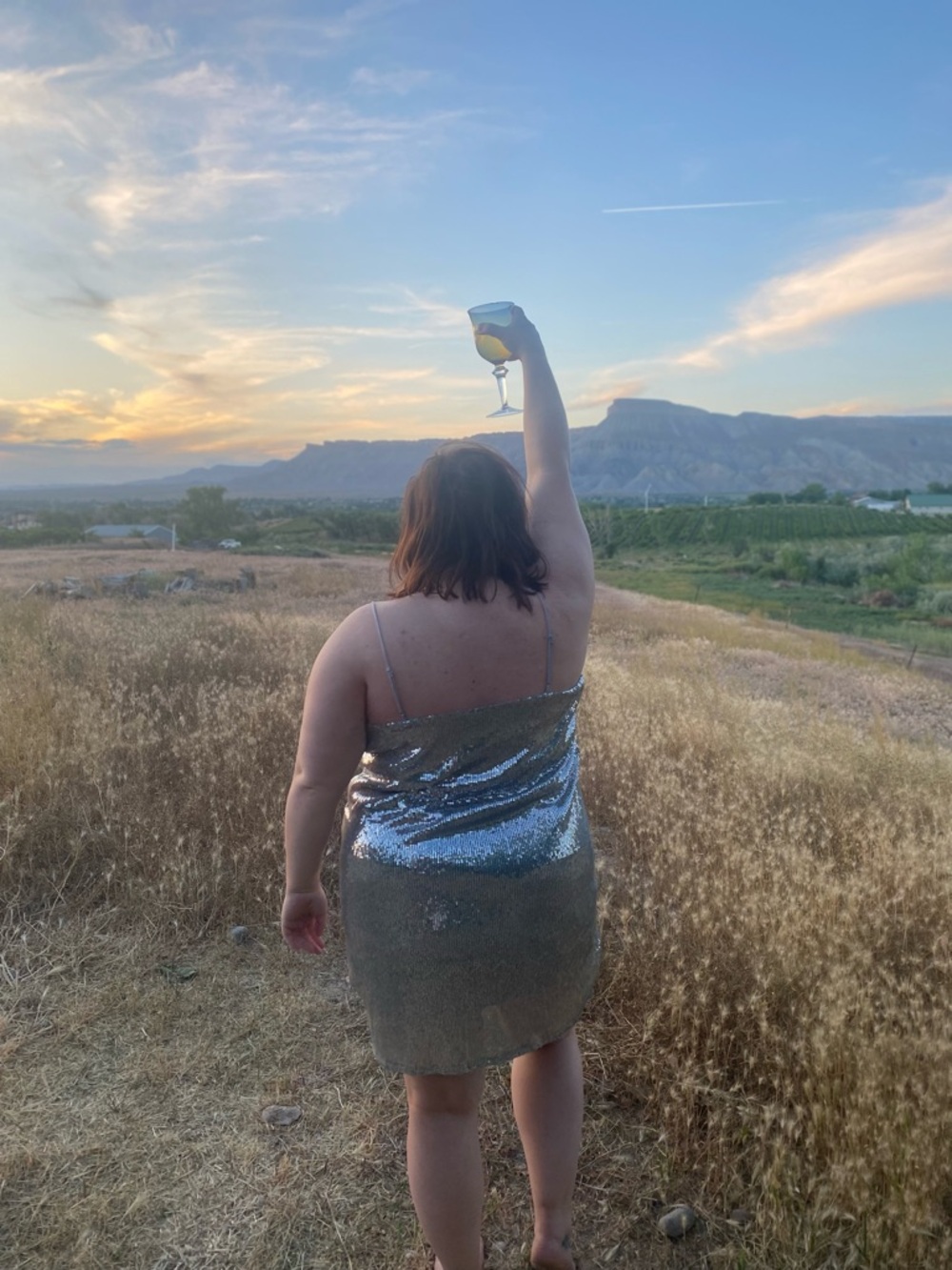 a new day Silver Sequin V-Neck Dress